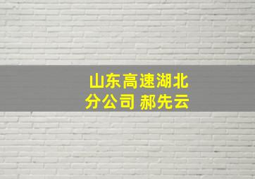 山东高速湖北分公司 郝先云